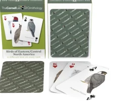 New York Puzzle Cornell Lab Of Ornithology | Birds of Eastern/Central North America Playing Cards Single Standard Deck