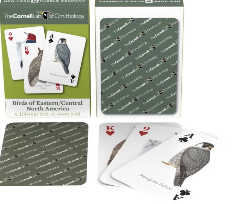 New York Puzzle Cornell Lab Of Ornithology | Birds of Eastern/Central North America Playing Cards Single Standard Deck