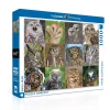 New York Puzzle Birds & Wildlife | Owls and Owlets 1000 Piece Jigsaw Puzzle