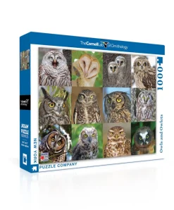 New York Puzzle Birds & Wildlife | Owls and Owlets 1000 Piece Jigsaw Puzzle